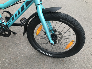 20" Scott Scale для детей (2 фото из 3)