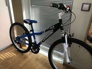 24" Classic Star 2.2 (2 фото из 3)