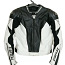 Dainese Leather Jacket Titanium (фото #1)