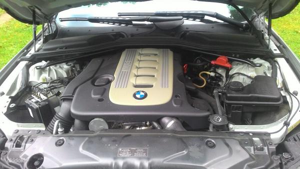 BMW 525 (фото #7)