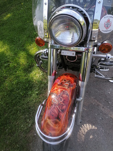 Kawasaki vn800 (5 foto / 6)