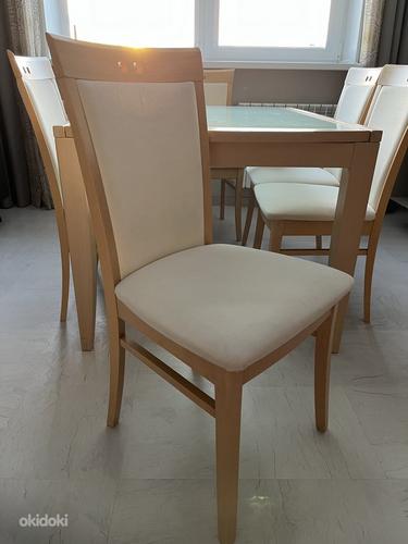 Стол + 6 стульев (фото #4)