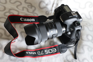 Canon EOS 7D Mark II + akutald (1 foto / 10)