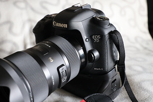 Canon EOS 7D Mark II + akutald (2 foto / 10)