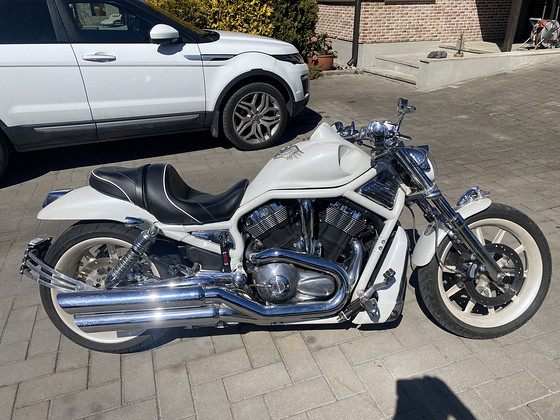Harley V ROD 2003 in