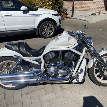 Harley V ROD 2003 in