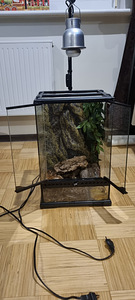 Terrarium.
