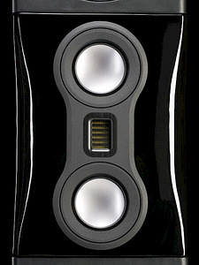 Põrandakõlarid Monitor Audio Platinum PL500 II Ebony (5 foto / 5)