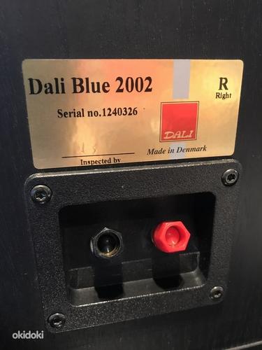 DALI 2002 полочная акустика (фото #3)