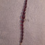 Галалитовый антикварный браслет из предвоенной германии (фото #3)