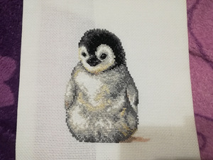 Pilt "Väike pingviin"
