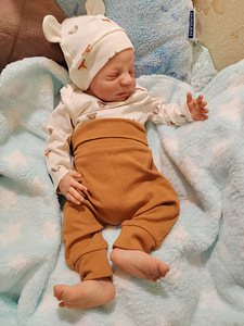 Reborn nukk silikoonist (9 foto / 9)