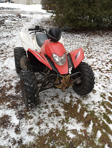 ATV LF250st-5 (4 фото из 10)
