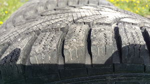 Veljed Mb talverehvidega (2 foto / 3)