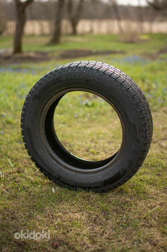 Зимняя шина Hankook I*Cept iZ 175/65 R14