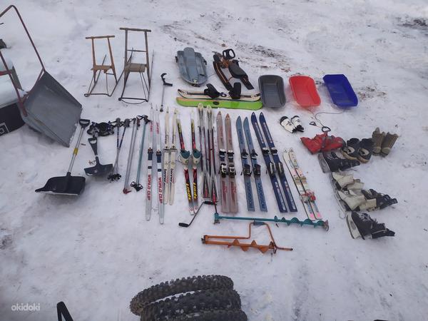Зимнее снаряжение горные лыжи лыжи санки (фото #2)