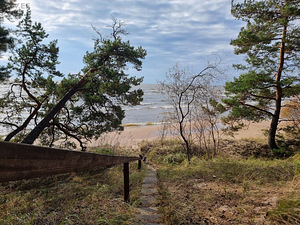 Rannasalu tee 1b, Katase, Alutaguse vald, Ida-Virumaa (3 foto / 16)