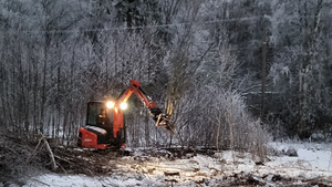 Pakume tööd võsagiljotiiniga ja veoteenuseid (äravedu) (2 foto / 3)