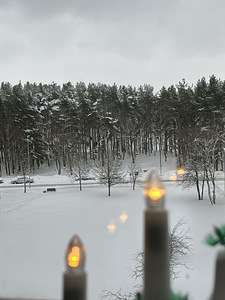 Ringi tn 3, Maardu, Harjumaa (12 foto / 12)