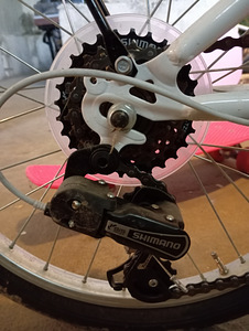Jalgratas - Bottecchia Lady 20" + rulla (3 foto / 3)