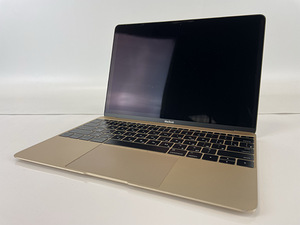 MacBook Retina, 12-inch, Early 2015 (1 foto / 9)