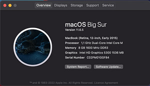 MacBook Retina, 12-inch, Early 2015 (7 foto / 9)