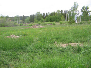 Siin on sinu uus kodu (4 foto / 10)