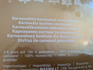 Karnevali kostüümid lastele (10 foto / 10)