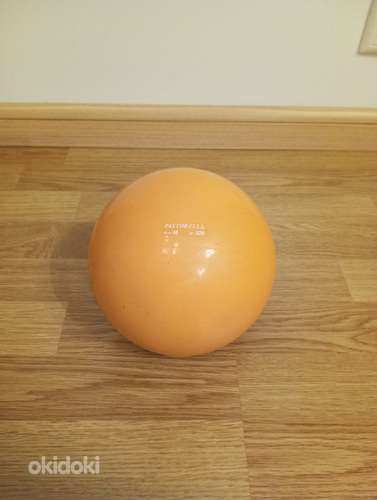 Гимнастический мяч Pastorelli (фото #1)