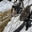 Agent!bikes raamil dh/ slopestyle ratas (foto #4)
