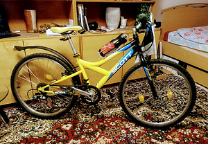 Детский велосипед SCOTT 250 EAM