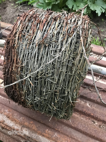 Колючая проволока