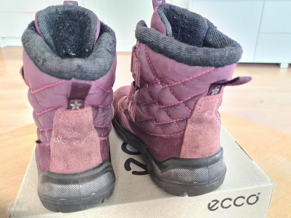 Ecco зимние сапоги/ботинки р. 30 (фото #2)