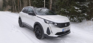 Peugeot 3008 (3 foto / 10)