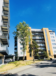 Kadaka pst 142/1, Mustamäe, Tallinn, Harjumaa (17 foto / 18)
