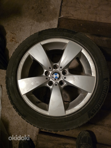 Valuveljed koos Continental Winter Contact talverehvidega