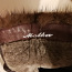 Кожаные зимние сапоги с натуральным мехом. (фото #2)