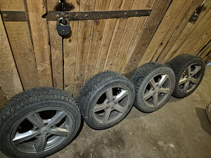 Talverattad Dunlop 205/55 R16 valuvelgedel, komplekt 4 (1 foto / 7)
