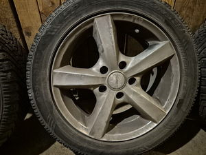 Talverattad Dunlop 205/55 R16 valuvelgedel, komplekt 4 (7 foto / 7)