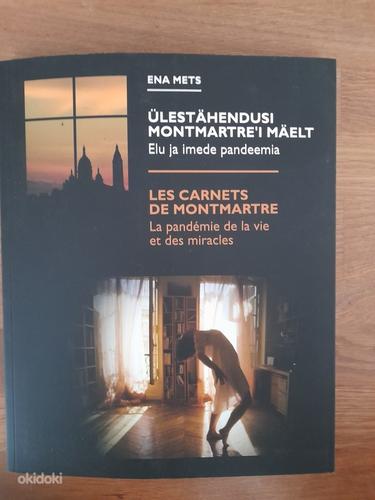 "Ülestähendusi Montmartrei mäelt.Elu ja imede pandeemia" Ena (foto #1)