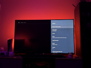Sony 65” 4K TV + Philips Hue Ambilight (Sync Box + Gradient) (4 foto / 4)