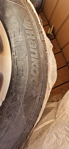 Volvo plekkveljed rehvidega ja kilpidega (5 foto / 8)