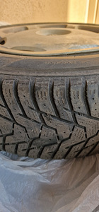 Volvo plekkveljed rehvidega ja kilpidega (6 foto / 8)