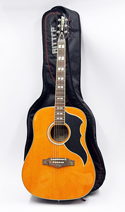 Eko Ranger VI VR Natural Dreadnought (2 foto / 2)