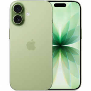 iPhone 17 256GB (1 фото из 3)