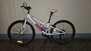 Jalgratas Classic Star 20' (2 foto / 4)