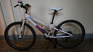 Jalgratas Classic Star 20' (3 foto / 4)