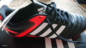 Adidase tossud (2 foto / 3)