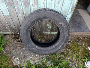 Talverehvid (1 foto / 7)