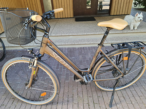 Scott SUBCOMFORT 20, L raam (2 foto / 9)